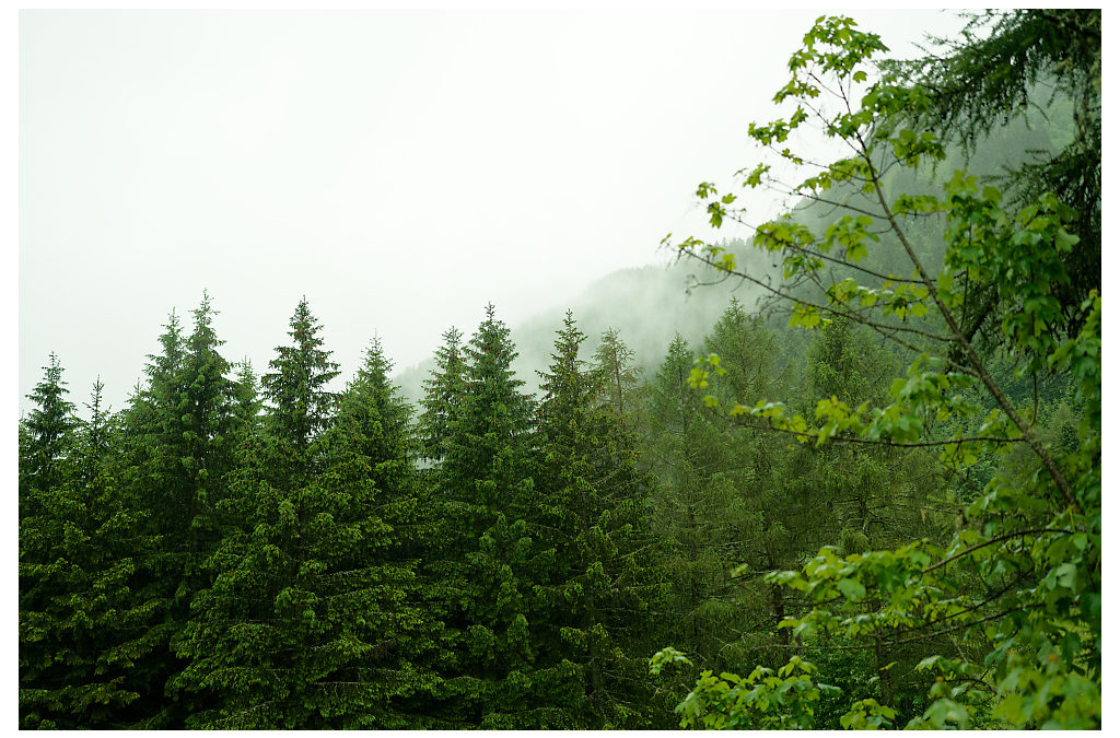Séjours de danse dans la Spirale & Yoga
