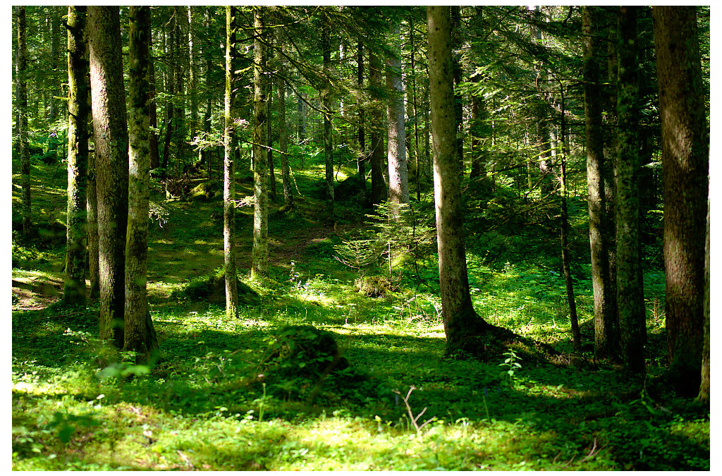 Séjours de danse dans la Spirale & Yoga